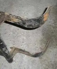 Jeep Willys cj3 staffa ruota scorta