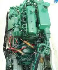 Calafuria 19