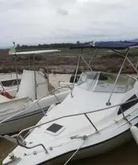 Barca senza guida patente