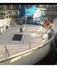 Barca a vela 7 m