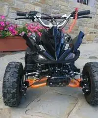 Altro Altro modello