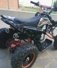 Altro Altro modello