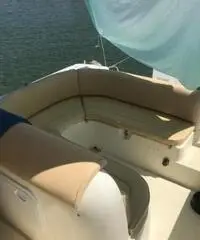 Walk around 26 piedi con Suzuki df 225 cv