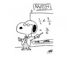 lezioni matematica fisica