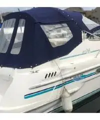 SEALINE 270 Ambassador