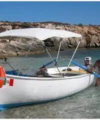 Gozzo 5 metri completo di motore