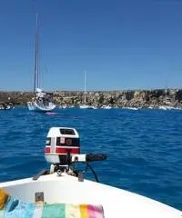 Gozzo 5 metri completo di motore