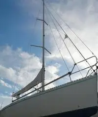 Delta 95