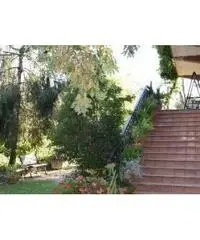 Casa con terreno 10000 mq