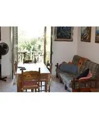 Casa con terreno 10000 mq