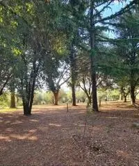 Villa con giardino Villa con giardino