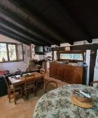 Villa con giardino Villa con giardino