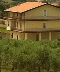 Villa con 3 piani e piantagione di olive