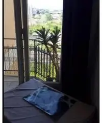 Camera singola Camera singola