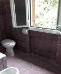 Villetta con giardino