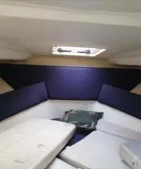 Cabinato Saver 590
