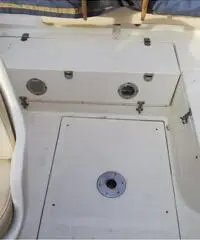 Cabinato Saver 590