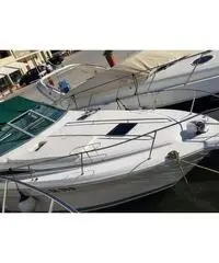 Sea Ray Sundancer 310