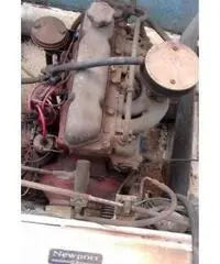 Barca con motore