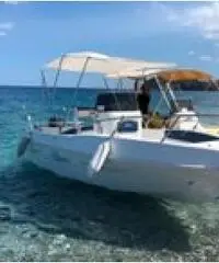 Barca a motore