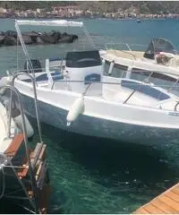 Barca a motore