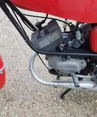 Moto guzzi 50