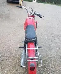 Moto guzzi 50