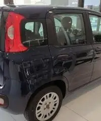 FIAT Panda EASY 1.0 HYBRID 70 CV