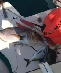 Marlin 23 FB 2011 Marlin 23 FB 2011