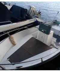 Primula mare Primula mare