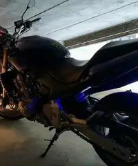 Honda Hornet - 2007 Honda Hornet - 2007