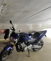 Honda Hornet - 2007 Honda Hornet - 2007