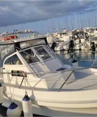 Polyform Barracuda 24 Polyform Barracuda 24