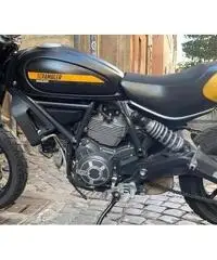 Ducati scrambler 800 Ducati scrambler 800