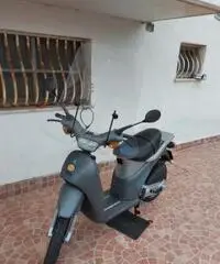 Piaggio free 50