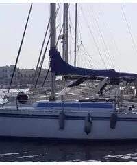 Show barberis 29 Show barberis 29