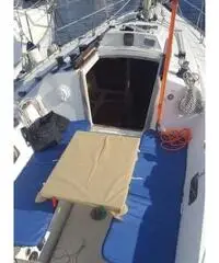 Show barberis 29 Show barberis 29