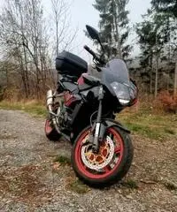 Aprilia tuono 1000 Aprilia tuono 1000