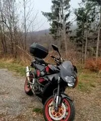 Aprilia tuono 1000 Aprilia tuono 1000