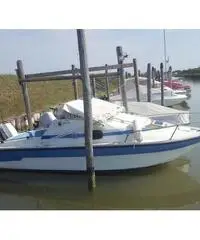 Pilotina semicabinata tullio abbate sea lady Pilotina semicabinata tullio abbate sea lady