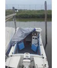 Pilotina semicabinata tullio abbate sea lady Pilotina semicabinata tullio abbate sea lady