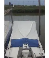 Pilotina semicabinata tullio abbate sea lady Pilotina semicabinata tullio abbate sea lady