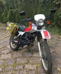 Honda Altro modello - 1983 Honda Altro modello - 1983