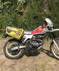 Honda Altro modello - 1983 Honda Altro modello - 1983