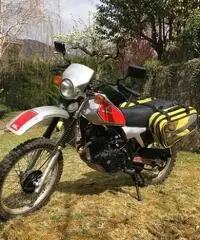 Honda Altro modello - 1983 Honda Altro modello - 1983