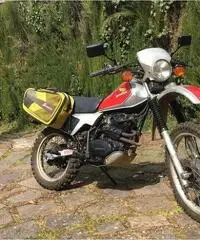 Honda Altro modello - 1983 Honda Altro modello - 1983