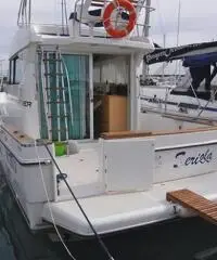 Starfisher 1060