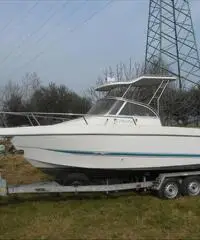 Walkaround Sessa Marine