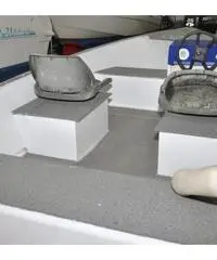 Marine 450 fish USATO