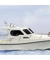 PROTEO 26 +2 x 150 HP VM PROTEO 26 +2 x 150 HP VM